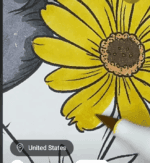 Adorable Bunny in Flower Garden Easter Coloring Page-HowToVideo