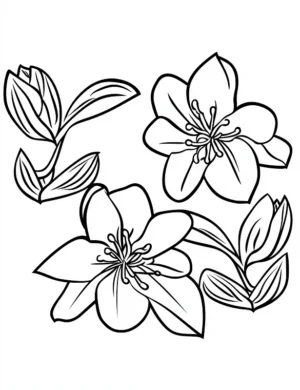Appealing Hibiscus Flowers With Leaves Flower Coloring Page By Mindset Flow