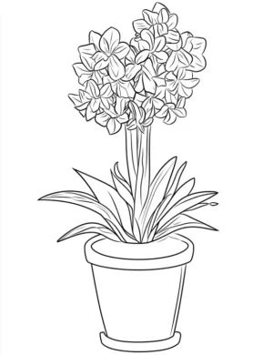 Blooming Hyacinths in Flowerpot Coloring Page