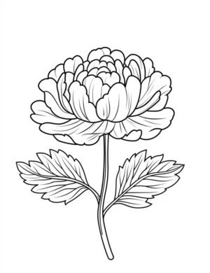 Blooming Peony Flower with Leaves Coloring Page