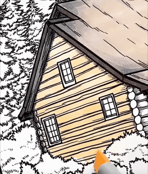 Cozy Mountain Cabin In Forest Adult Coloring Page-HowToVideo