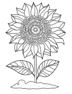 Decorative Sunflower With Detailed Petals And Leaves Coloring Page by Mindset Flow