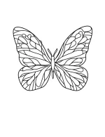 Delicate Butterfly Mandala with Symmetrical Wings Coloring Page by Mindset Flow