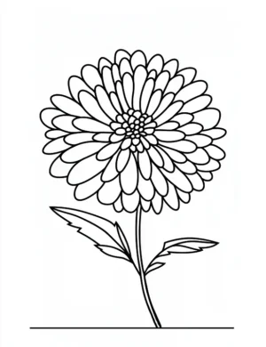 Delightful Chrysanthemum Flower Coloring Page By Mindset Flow