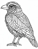 Detailed Bird Mandala with Intricate Feather Patterns Coloring Page by Mindset Flow