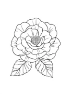 Detailed Classic Rose Bloom Flower Coloring Page by Mindset Flow