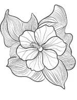 Elegant Hibiscus With Flowing Leaves Flower Coloring Page By Mindset Flow