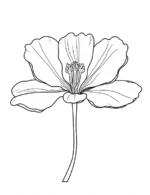 Elegant Open Petal Floral Bloom Flower Coloring Page by Mindset Flow