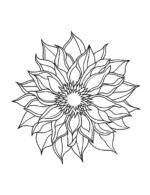 Exquisite Sunflower Blossom Flower Coloring Page By Mindset Flow