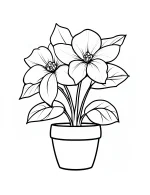 Flower Vase with Wide Petals Coloring Page