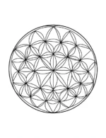 Flower of Life Sacred Mandala Pattern Coloring Page by Mindset Flow