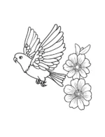 Flying Parrot with Blooming Flowers Coloring Page by Mindset Flow