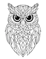 Geometric Owl Face with Intricate Lines and Bold Eyes Coloring Page by Mindset Flow