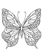 Graceful Abstract Butterfly Mandala Art Adult Coloring Page by Mindset Flow