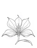 Graceful Trumpet Flower with Long Stamens Flower Coloring Page by Mindset Flow