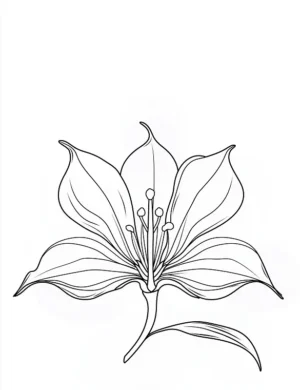 Graceful Trumpet Flower with Long Stamens Flower Coloring Page by Mindset Flow