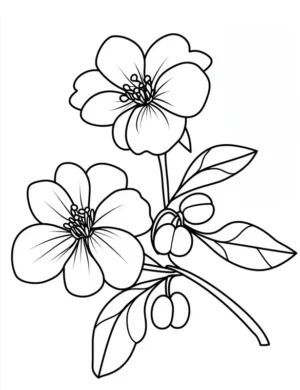 Hawthorn Blossom with Leaves and Berries Coloring Page