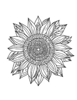 Intricate Sunflower Mandala Adult Flower Coloring Page By Mindset Flow