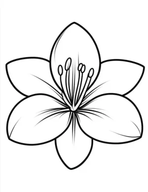 Minimalist Five Petal Flower Coloring Page by Mindset Flow