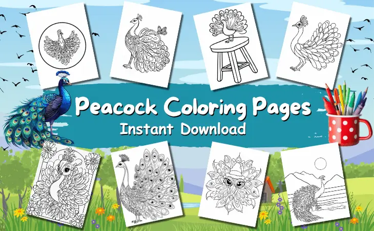 Peacock Coloring Pages by Mindset Flow