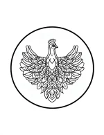 Peacock Feather Frame Mandala with Symmetrical Designs Coloring Page by Mindset Flow