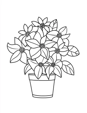 Plumeria Flowers in a Vase Coloring Page