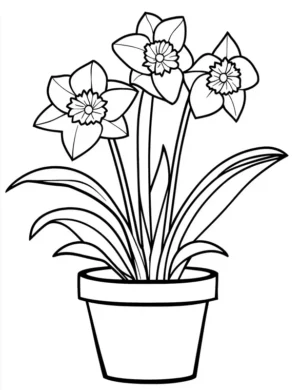 Potted Daffodil Flowers with Long Leaves Coloring Page