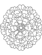 Radiant Marigold Flower Coloring Page By Mindset Flow