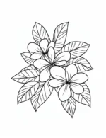 Simple Plumeria Flowers With Leaves Flower Coloring Page By Mindset Flow