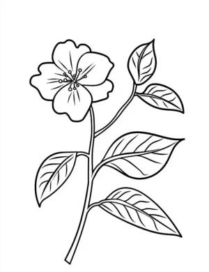 Simple Single Hibiscus Flower With Leaves Flower Coloring Page By Mindset Flow