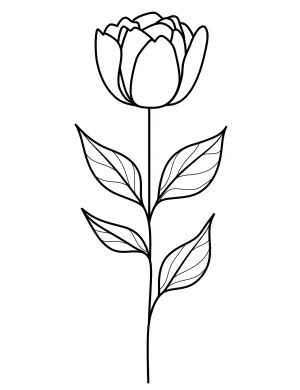 Single Blooming Tulip Stem Coloring Page
