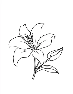 Single Lily Flower Printable Coloring Page