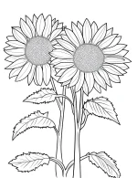 Sunflower Pair Christmas Ornaments Coloring Page By Mindset Flow