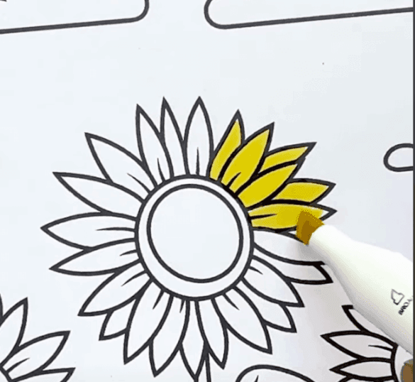 Sunflowers Blooming In Summer Field Coloring Page-HowToVideo