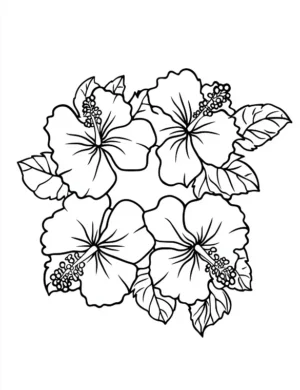 Sweet Cluster Of Four Hibiscus Blossoms Flower Coloring Page By Mindset Flow