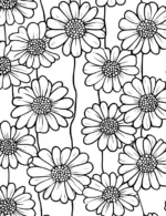 Sweet Daisy Blossom Field Flower Coloring Page By Mindset Flow