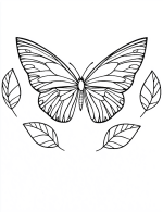 Symmetrical Butterfly Sorrounded With Four Leaves Coloring Page by Mindset Flow