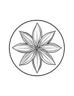 Symmetrical Wildflower Mandala in Circle Frame Coloring Page