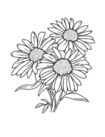 Three Sunflowers In Vase Adult Flower Coloring Page By Mindset Flow