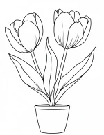 Two Tulip Flowers in Flowerpot Coloring Page