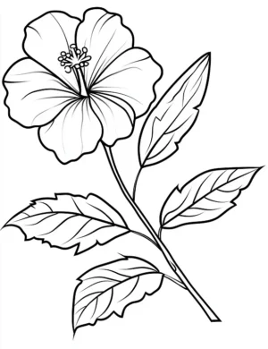 Unique Hibiscus Flower In Bloom Flower Coloring Page By Mindset Flow