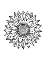Vibrant Sunflower Starburst Flower Coloring Page By Mindset Flow