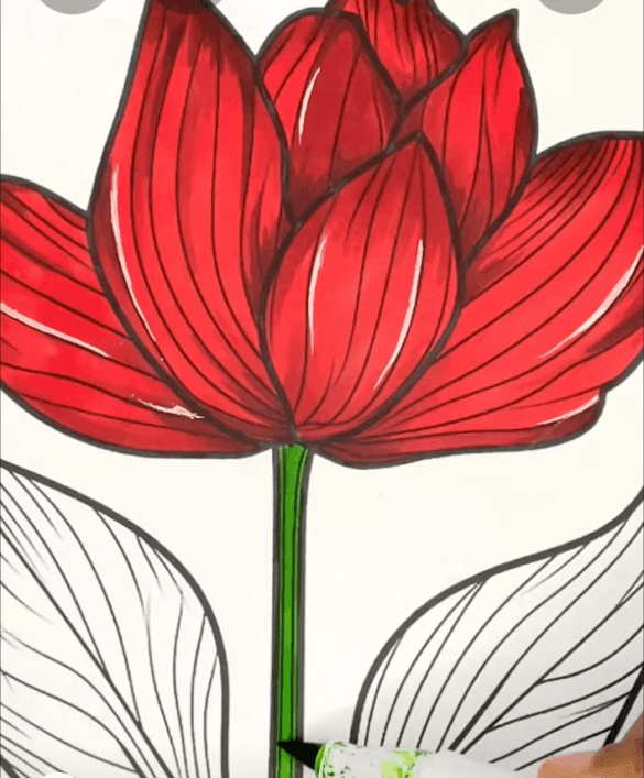 Vintage Tulip Pattern for All Ages Printable Coloring Page-HowToVideo